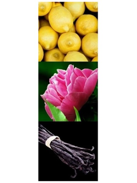 Yodeyma Freshia Eau de Parfum - 15ml